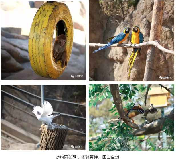 1553221615991995.png image.png